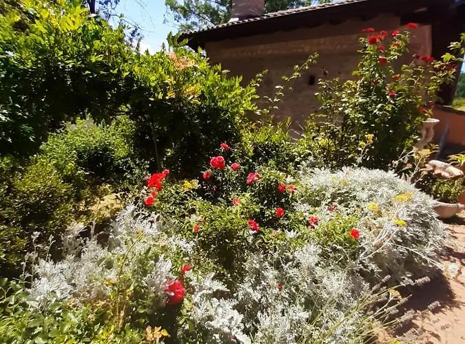 Alojamento de Acomodação e Pequeno-almoço Azienda Agricola Ca' Bianca Bio 3*