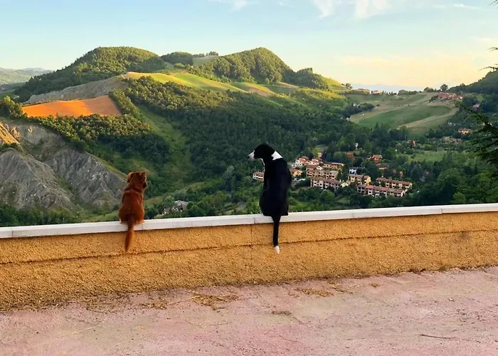 Azienda Agricola Ca' Bianca Bio Alojamento de Acomodação e Pequeno-almoço Monte San Pietro